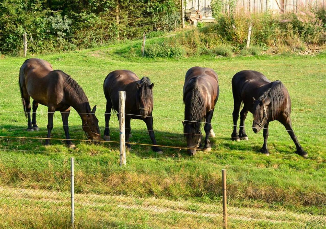 Ferienhof Kuerschner Drebach Exteriör bild