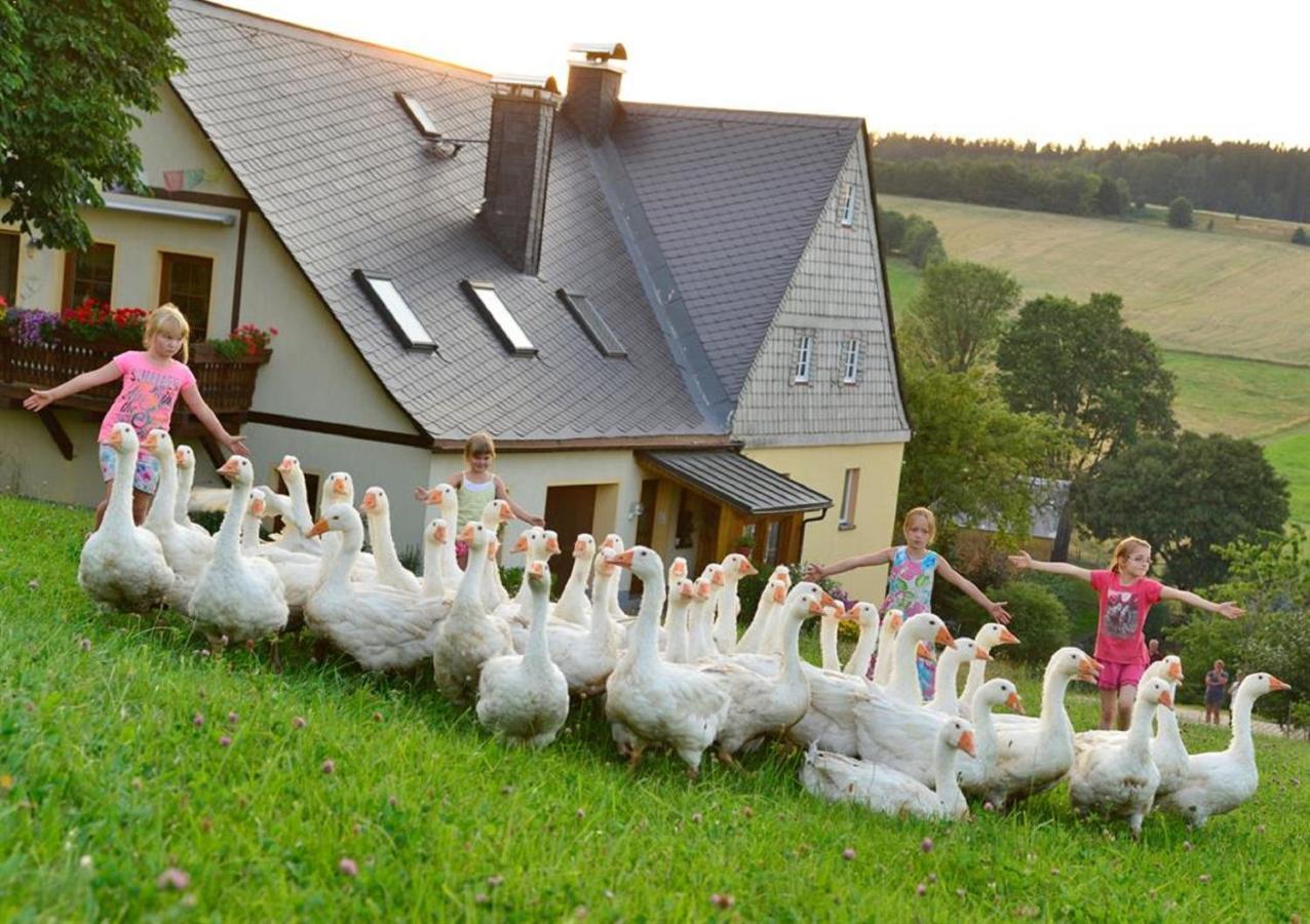 Ferienhof Kuerschner Drebach Exteriör bild